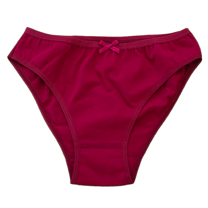 Modelo 805 - Cueca de senhora em algodão